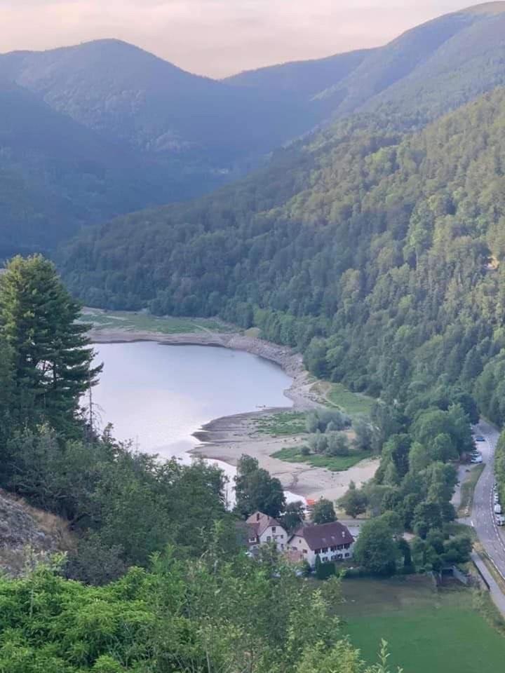 Petite Maison Au Calme Avec Jardin Cloture Les Animaux Bienvenue Mollau Luaran gambar